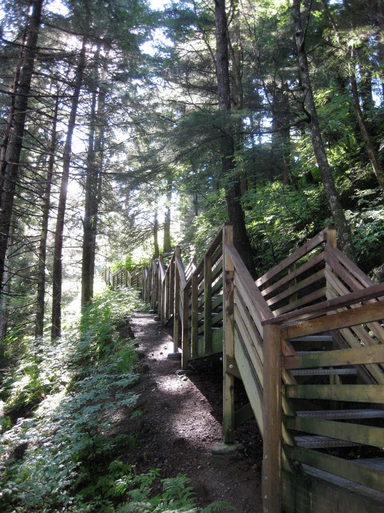 Stairs down to a Park in Juneau by aruff106