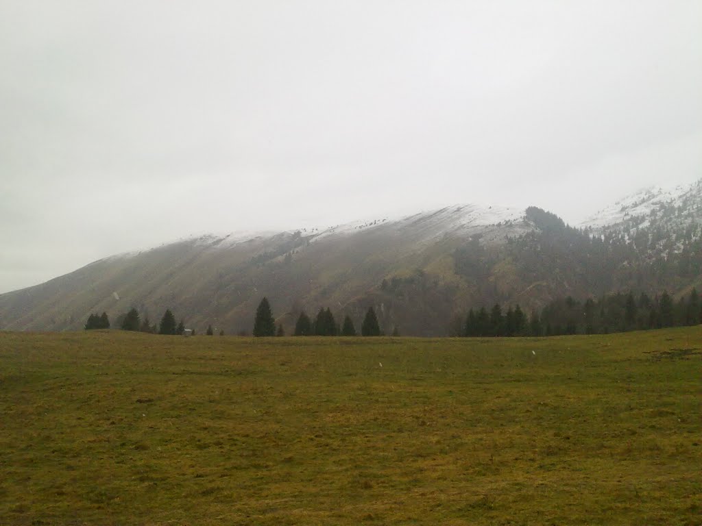 Vista da Campo d'Avene 1 by koyuki82