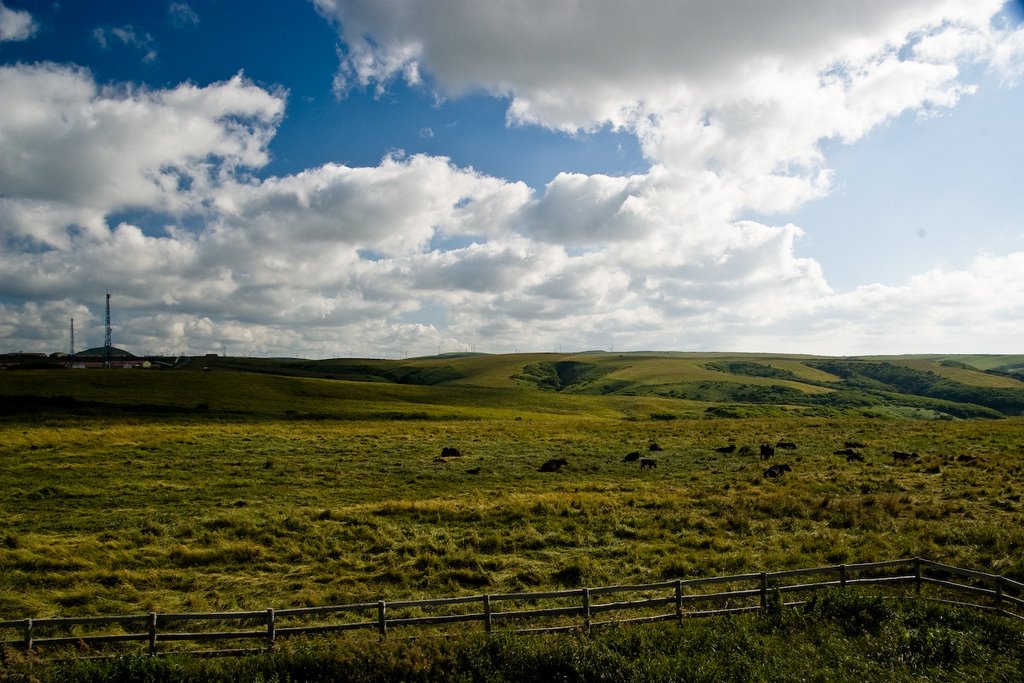 Soyamisaki, Wakkanai, Hokkaido Prefecture 098-6758, Japan by 宮崎亮