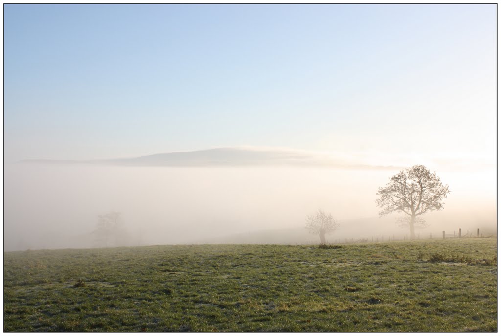 Looking towards Boulsworth Hill in the fog by FZappa