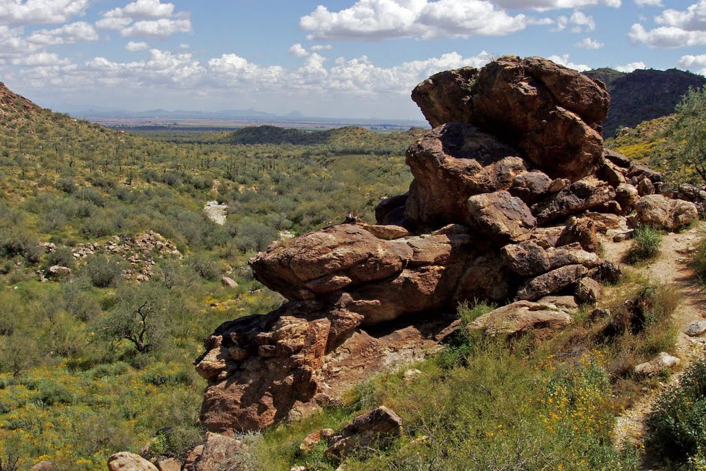 Ford Canyon Trail, White Tank Regional Park, AZ by bobbudi