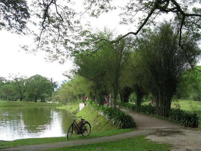 Taiping Lake Gardens by Tony Ng