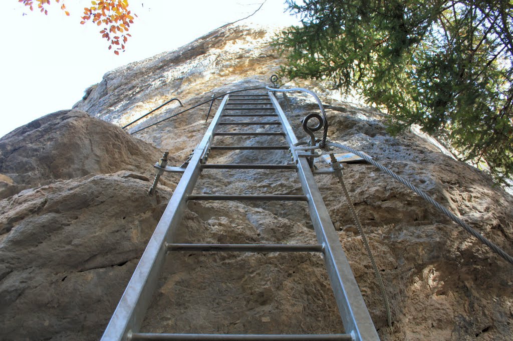 Via ferrata école d'Aillon-le-Jeune by Jean-François RAFFIN