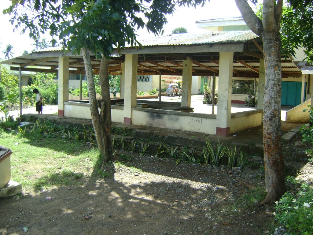 Alaminos central school by danrafs