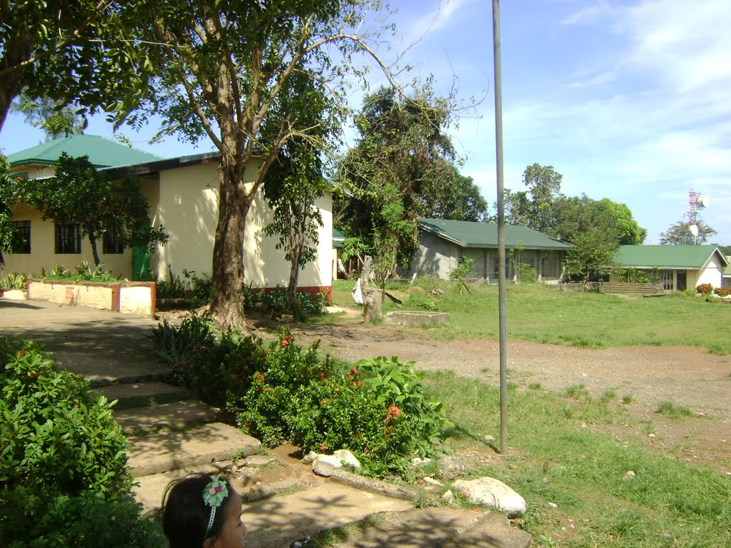 Alaminos central school by danrafs