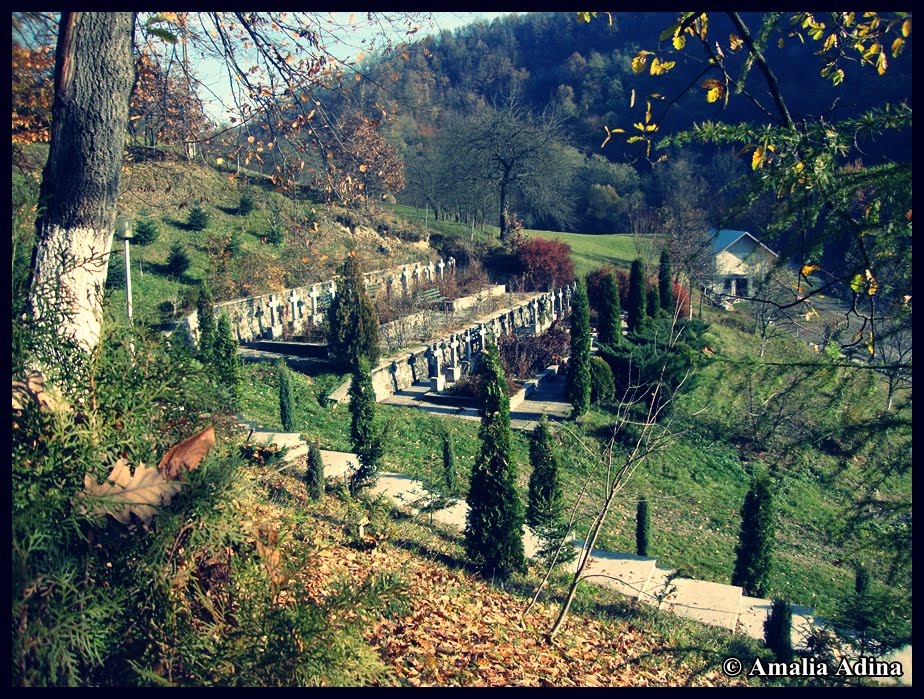 Mănăstirea Crişan (Vaca) com. Ribita, jud. Hunedoara, 10 km N de Brad RO by amaadina