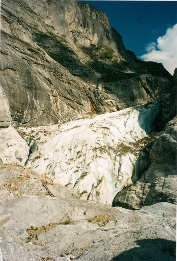 Oberer Grindelwaldgletscher by Clemens Gilles