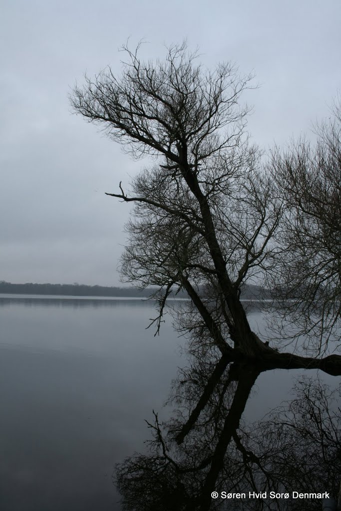 Fall Sorø sø by Søren Hvid