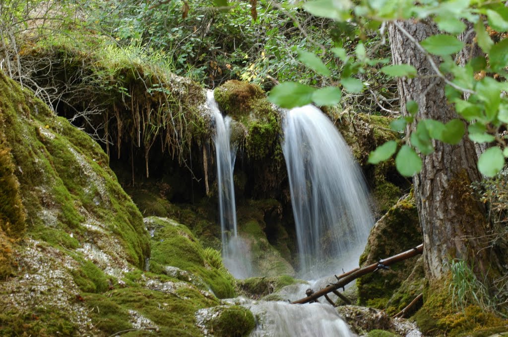 Nacimiento rio Cuervo by Jesus Naranjo