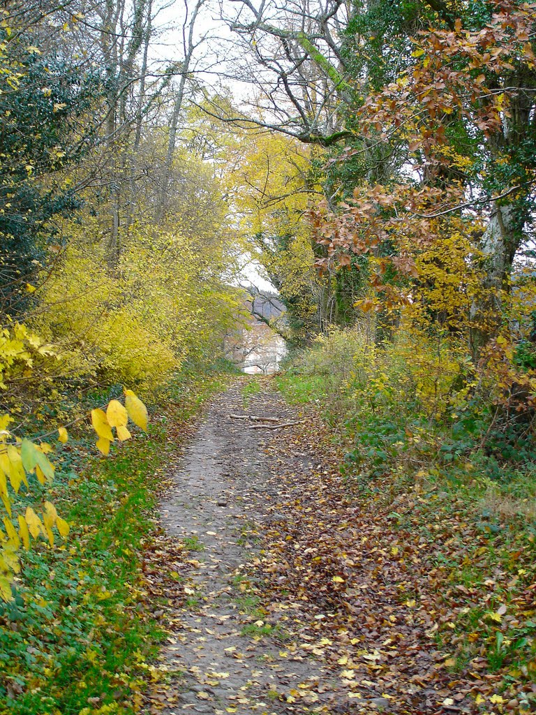 Chemin à proximité de Lachaux-Montgros by Les Argonautes