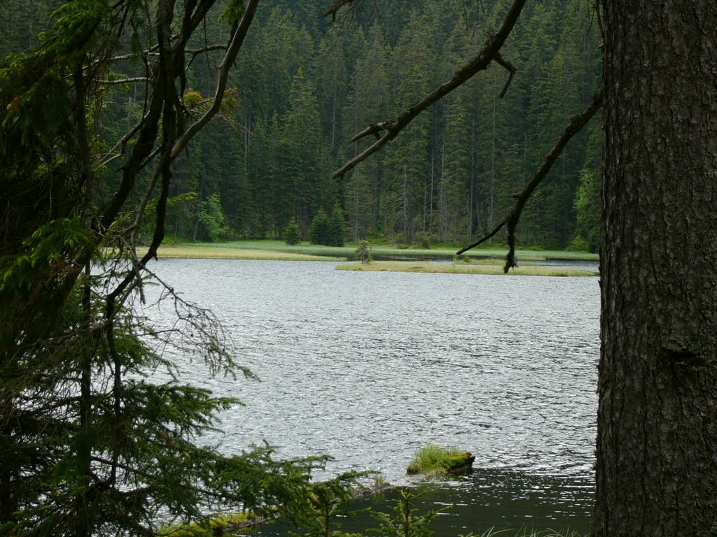 Šumava,jezero Laka by naval75