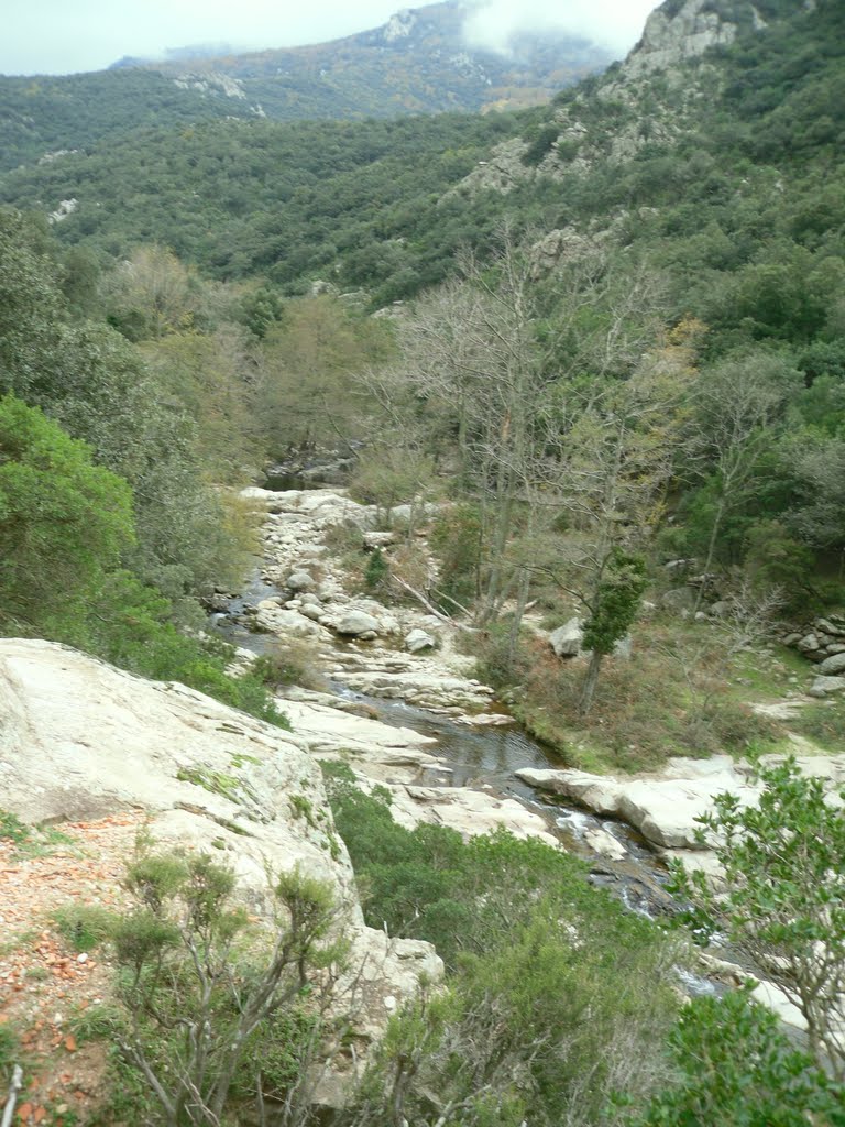 Rivière la Massane by Martial Garcia