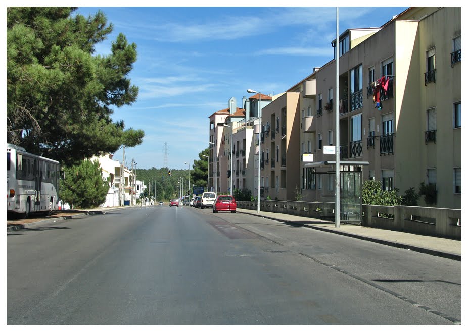 Avenida Cova dos Vidros by Barragon