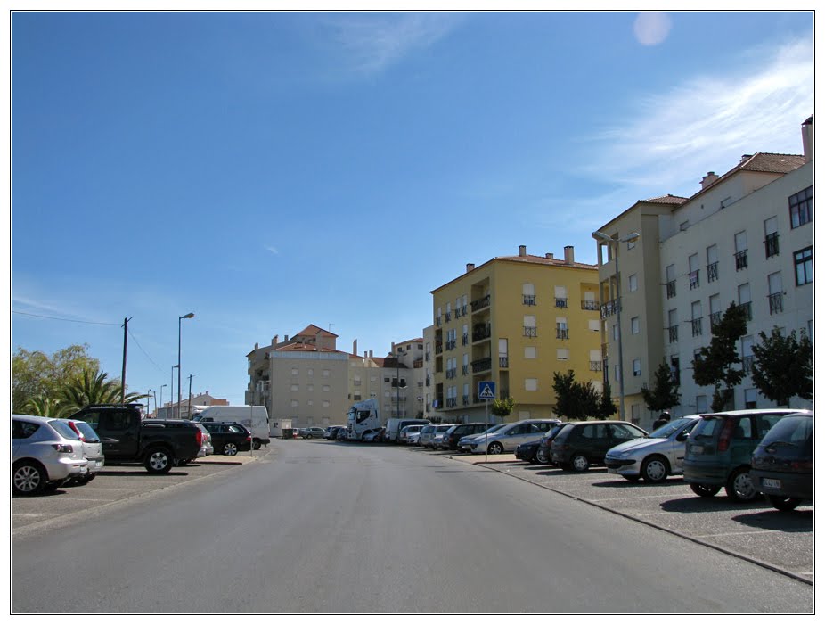 Avenida Norton de Matos by Barragon