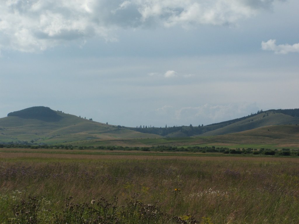 Út Gyergyószentmiklós felé I. by Cserháti Csilla