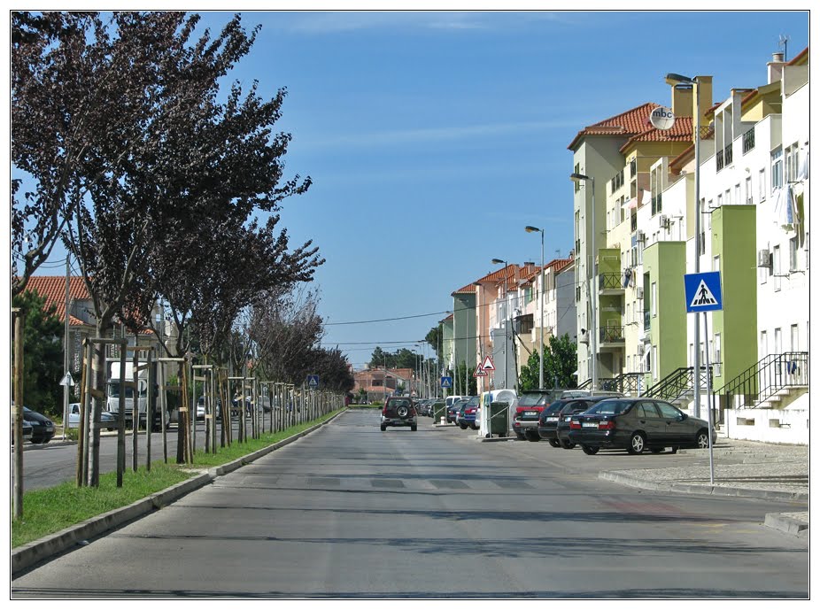 Avenida 1º de Maio by Barragon