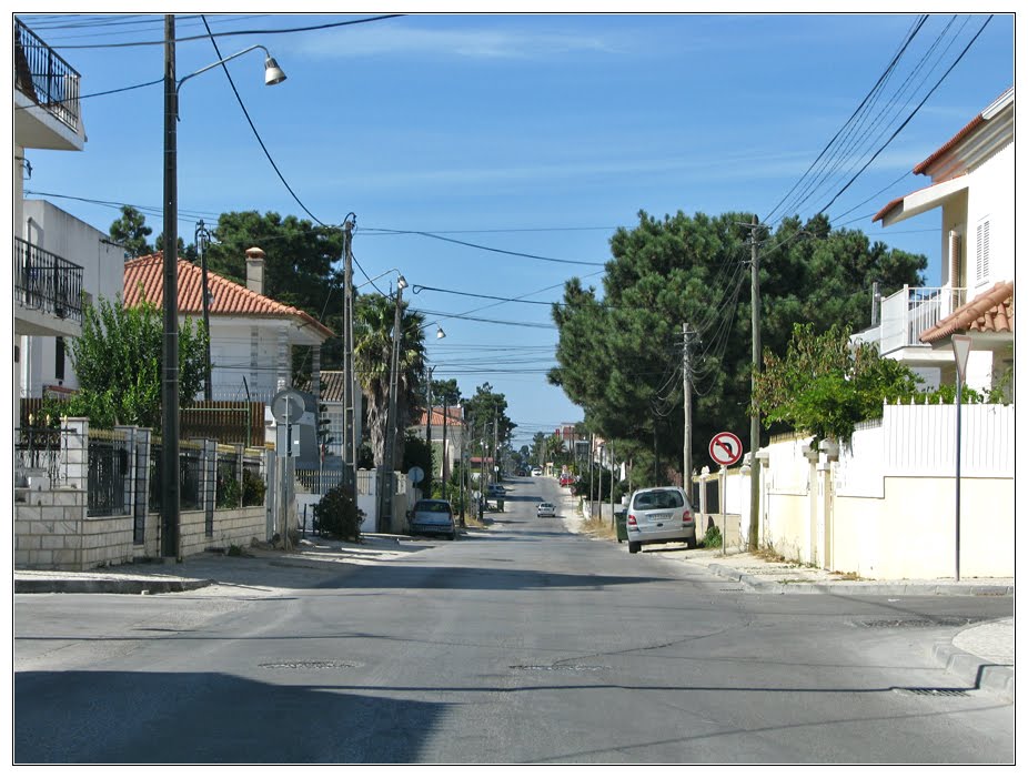 Rua 25 de Abril by Barragon