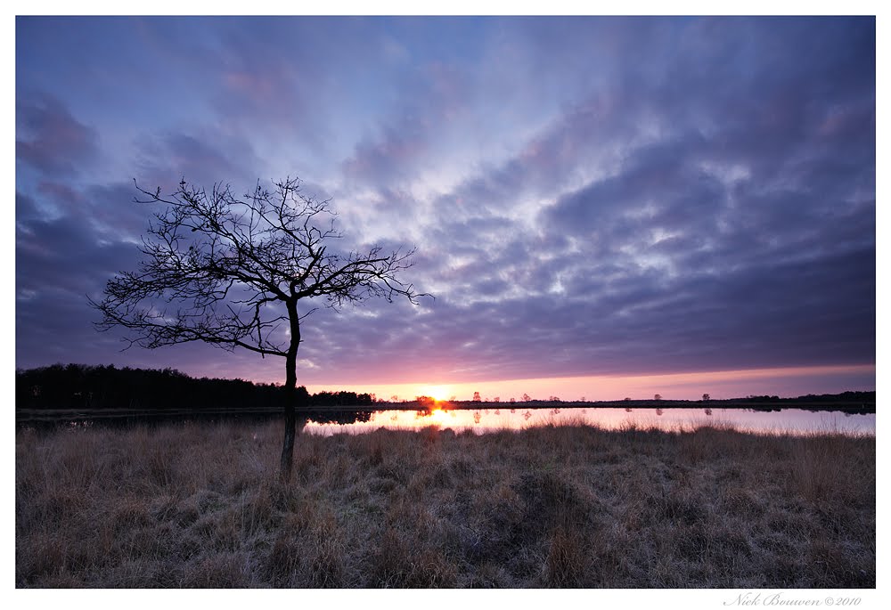 Strabrechtsche Heide - Starven by Niek Bouwen