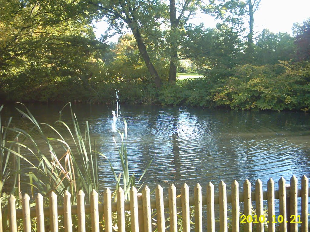 Teich im Schwingbodenpark by daydogwalker