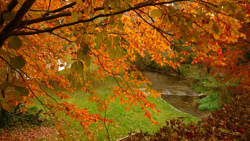 Fall in Goodworth Clatford by Doc_KB1974