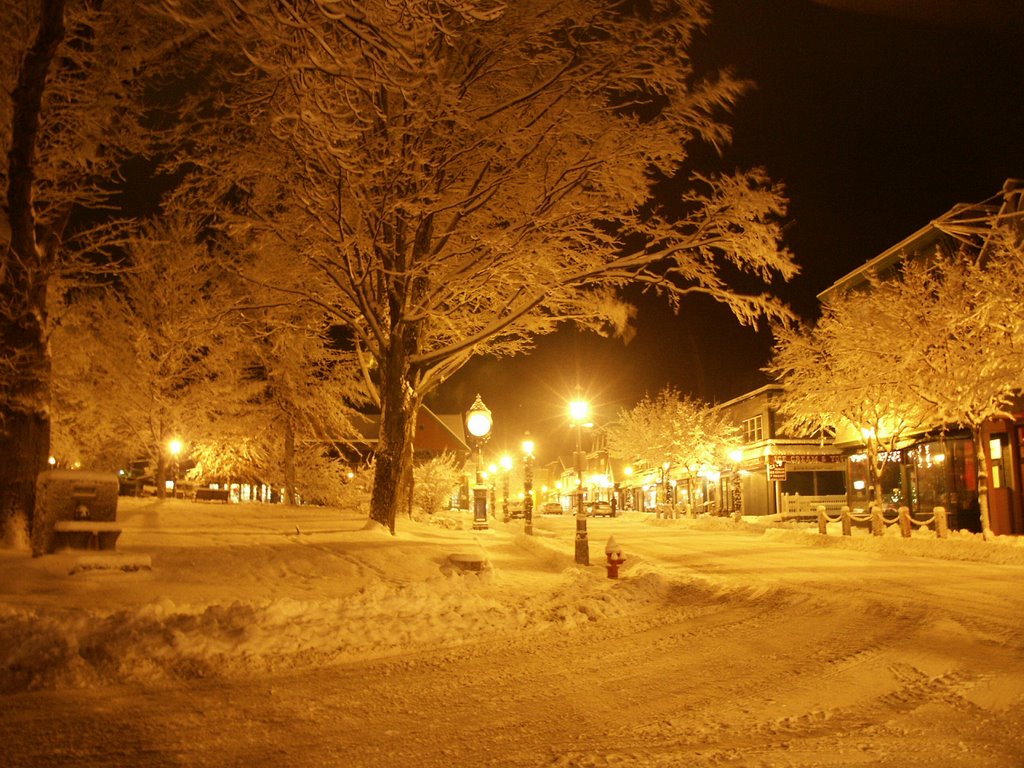 Village Green by G Dunphey