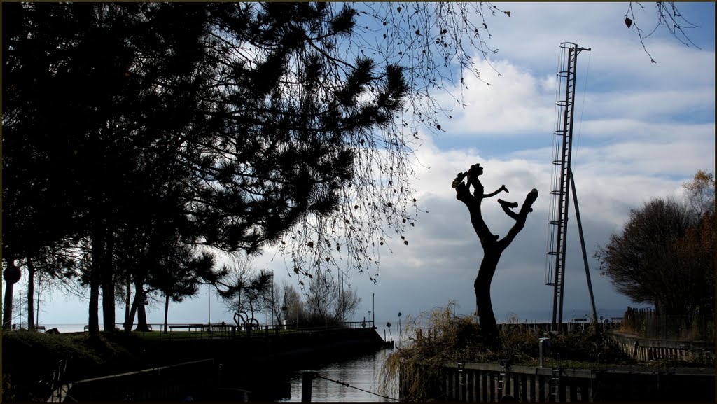 Fischbach, Friedrichshafen, Bodensee, (Germany) by Gunnar Diercks