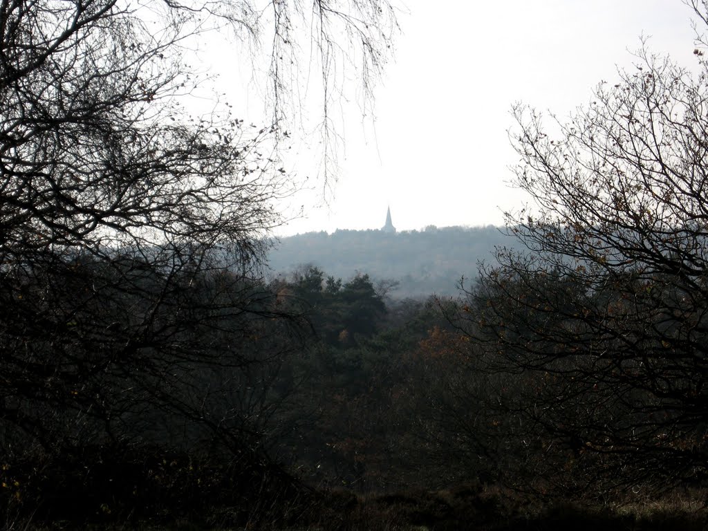 Blik op Eltenberg vanaf Hooge Heide by Jos Notten