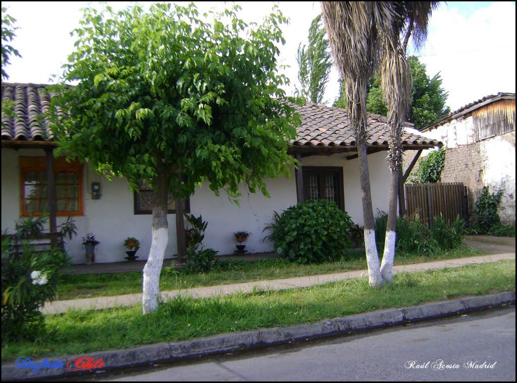 ▶ Vivienda en Coínco ® by ►DisfrutaChile ®