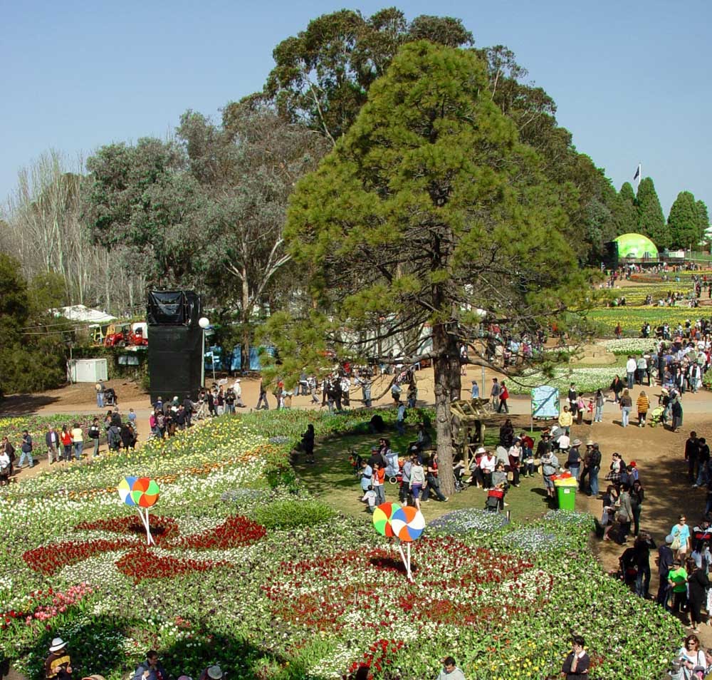 Commonwealth Park, Floríade by alvaro espinel