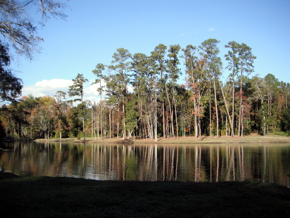 Thomasville, GA - Cherokee Lake - November 2010 by JanusGD