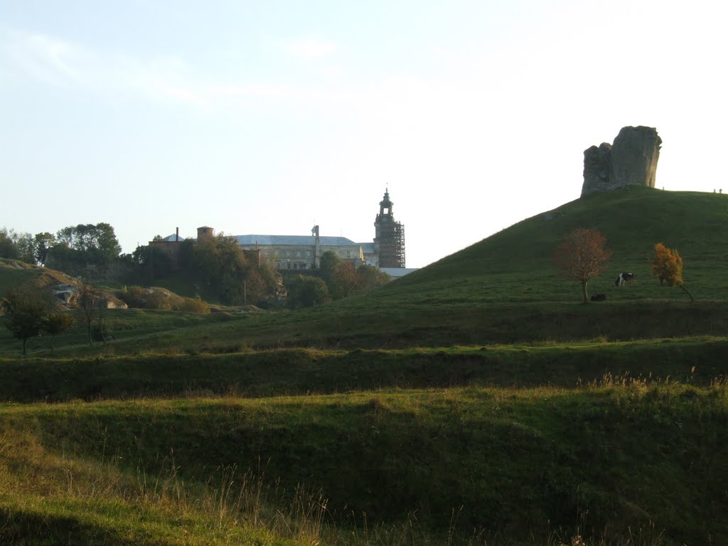 Brodivs'kyi district, Lviv Oblast, Ukraine by Aleksandr Chernikov