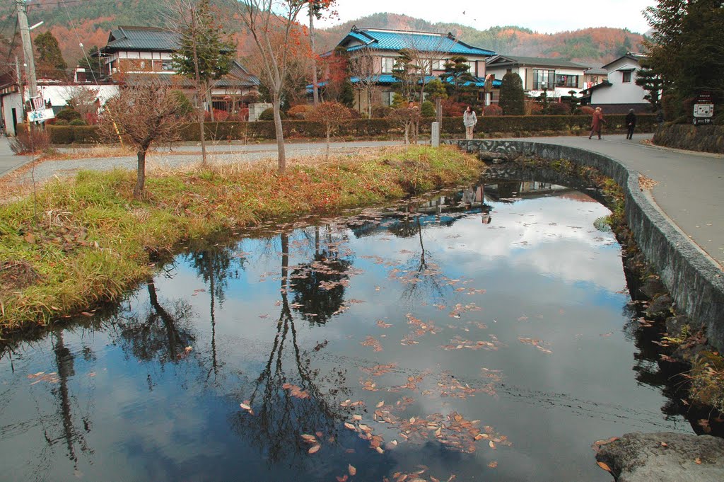 国指定天然記念物忍野八海 鏡池(National Natural Treasure Oshino 8Spring Ponds Kagami Ike Pond) by 9m2ji1etu