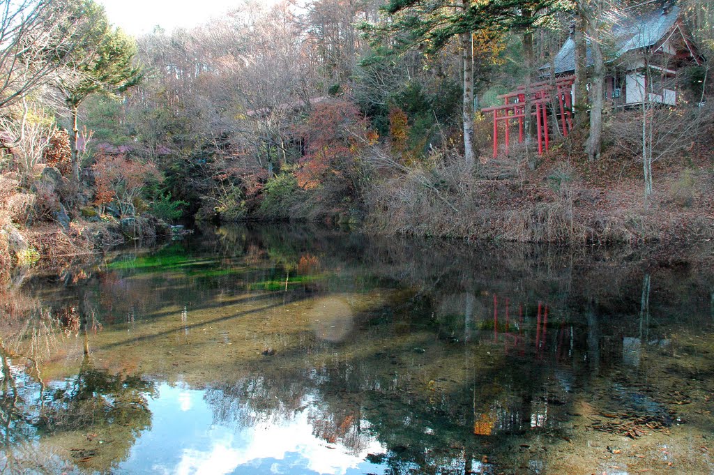 国指定天然記念物忍野八海 出口池(National Natural Treasure Oshino 8Spring Ponds Deguchi Ike Pond) by 9m2ji1etu