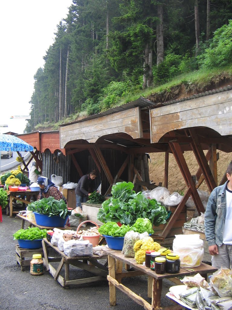 Giresun Kümbet By Mehmet Turan by ozMehmet Turan