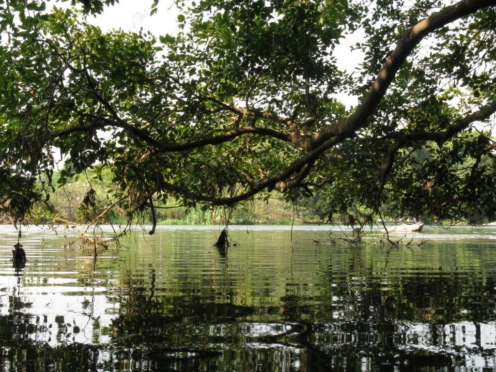 Ranganathittu bird sanctuary by Santanu Sasmal