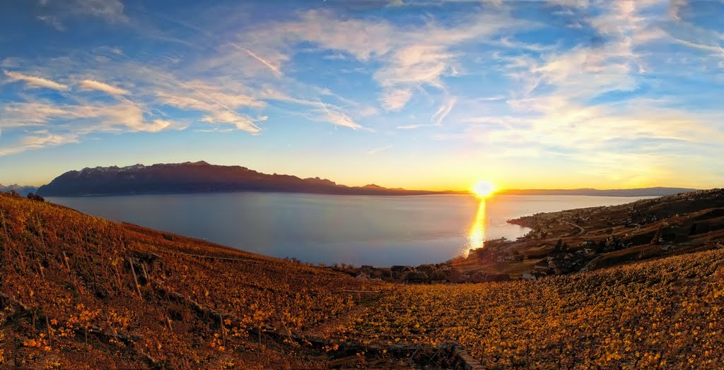 Sunset over the vineyards in the Lavaux by slice of being