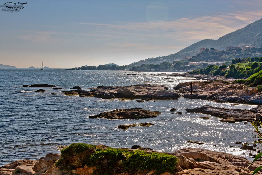 Isole Sanguinarie, Ajaccio, Corsica del Sud, Corsica, Francia by William Prandi