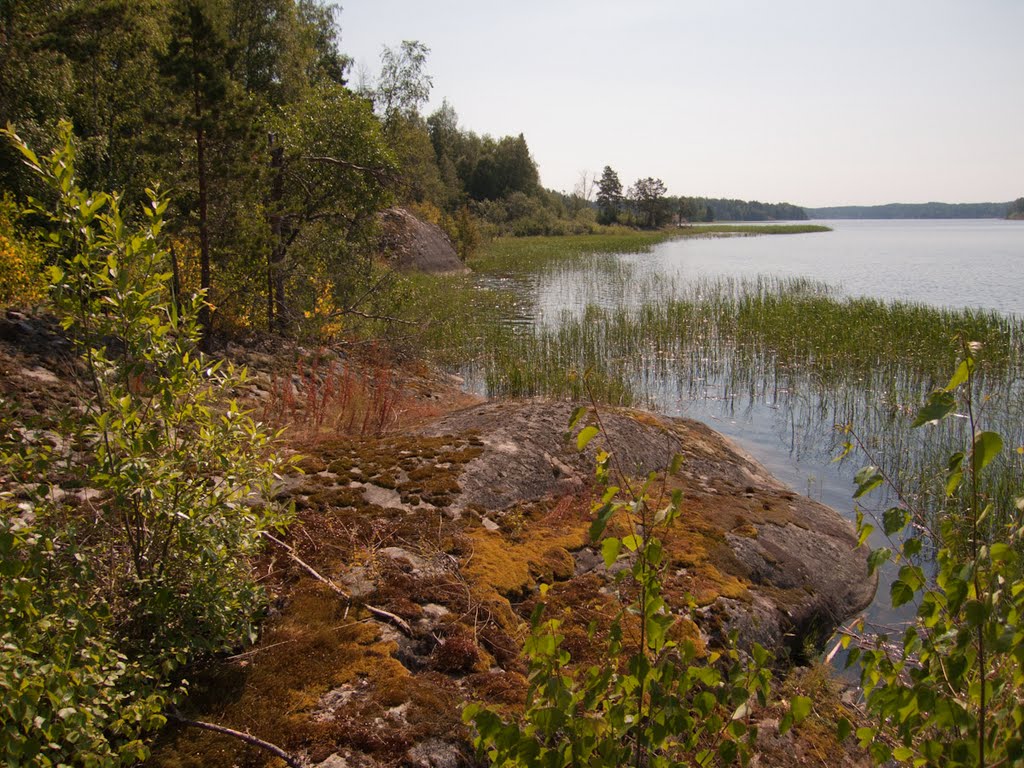 Lakhdenpokhsky District, Republic of Karelia, Russia by PAA47