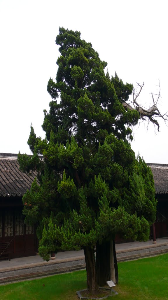 Konfuzius Temple Jiading by rcmeihsner