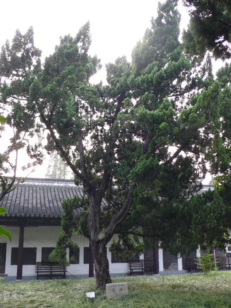 Konfuzius Temple Jiading by rcmeihsner