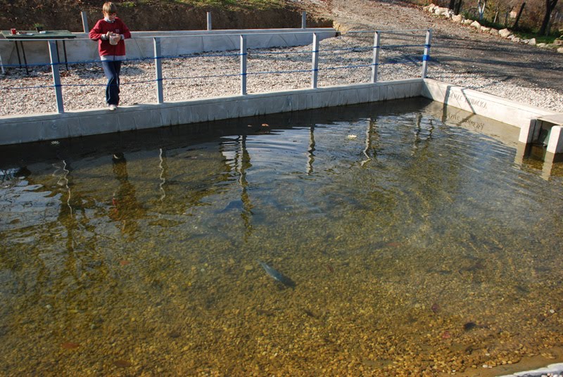 Jezero Mudička by Nikola Klobucaric