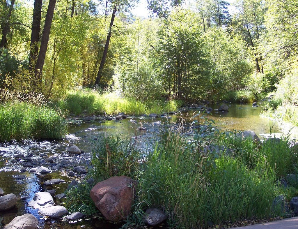 Oak Creek Canyon, Arizona by Gretel Coursol