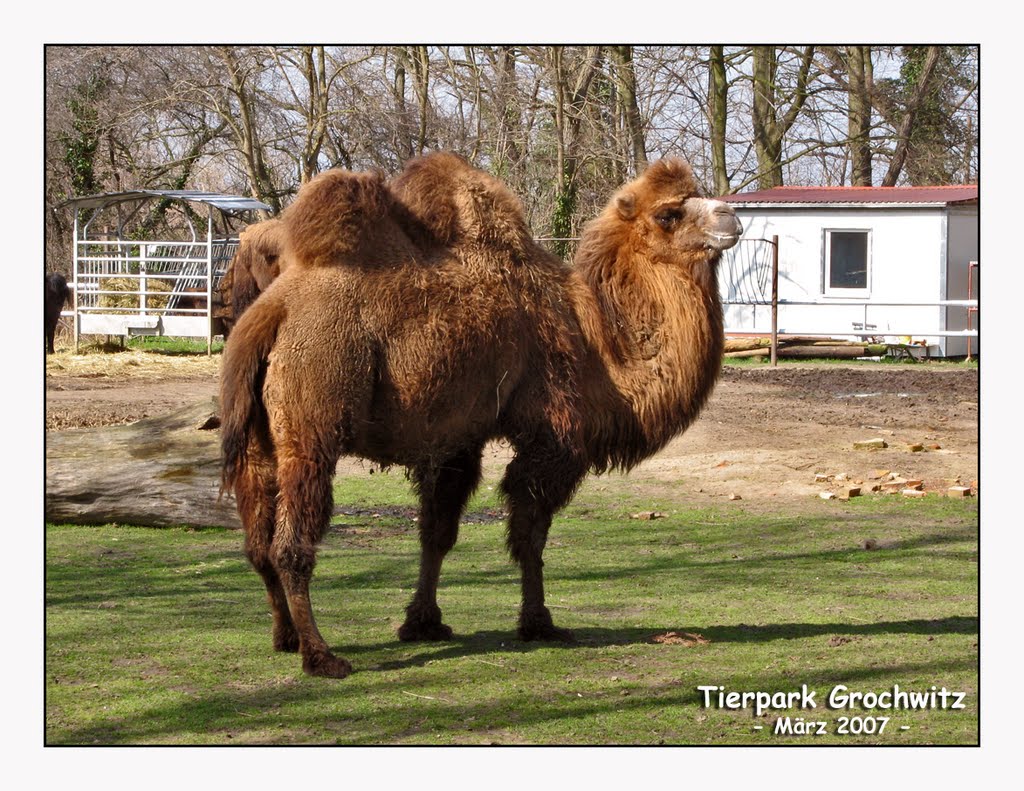 Tierpark - März 2007 by Herzberger