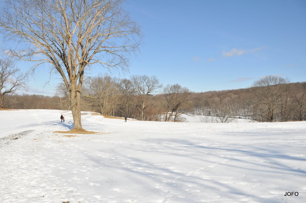 Rockefeller Preserve, view from the top by JOFO Rupchini