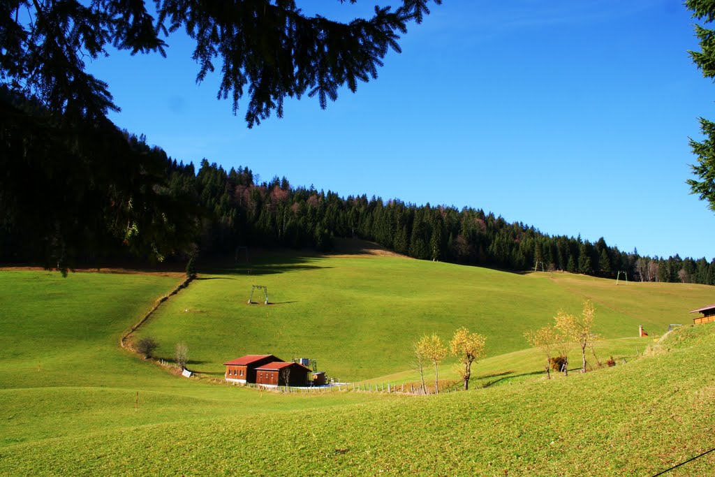 Skigebiet oberhalb von Ramsau im November bei 20° by Regina Stergar