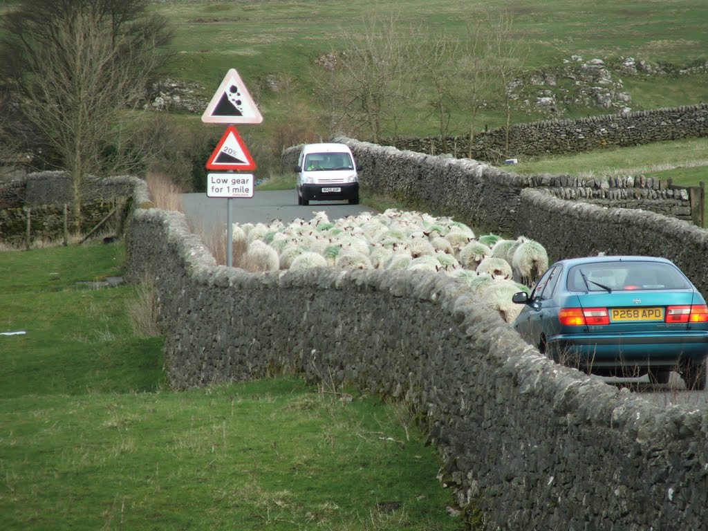 Rush hour in the peak district* by Graham Willetts