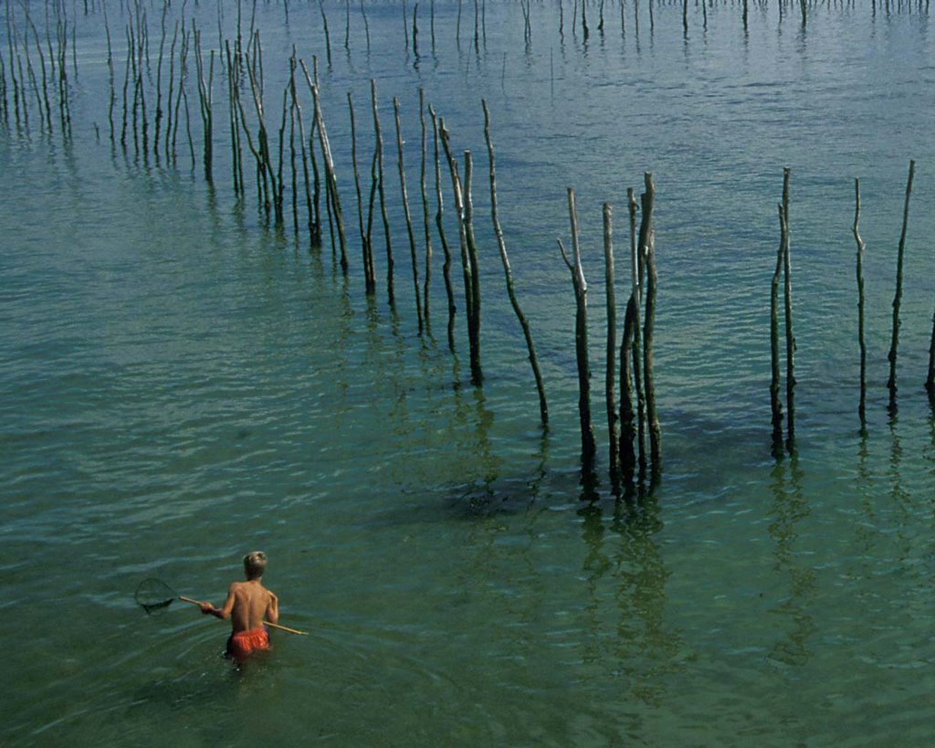 Fishing in Arcachon bay by a.a.3365