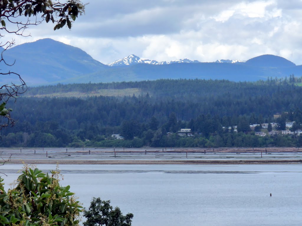 Chase River from Biggs Park by lwilky275