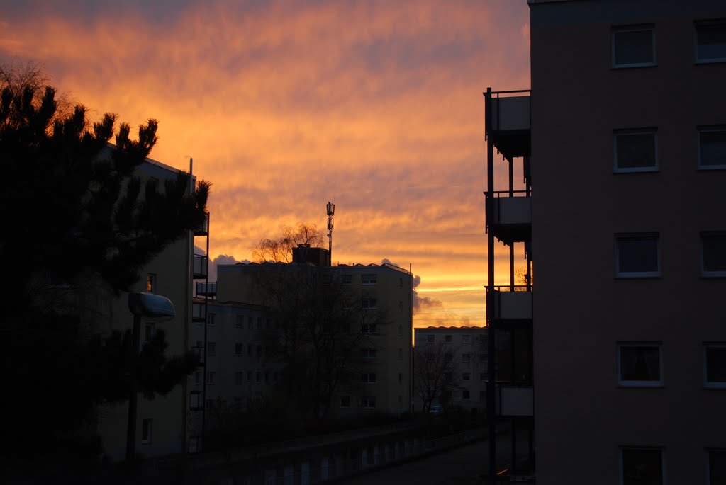 Brinkmannsfeld im November 2010 by Peter K.