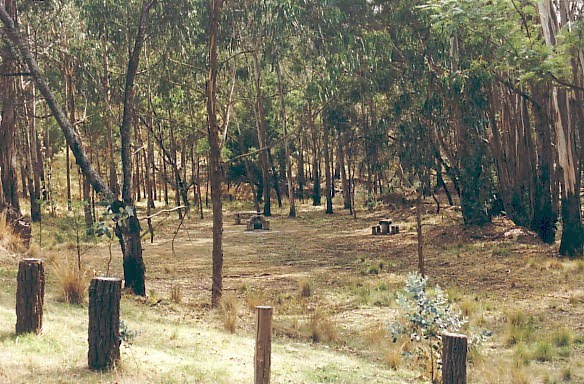 Pyrenees State Forest; Glenpatrick picnic ground by Peter WHITEHEAD